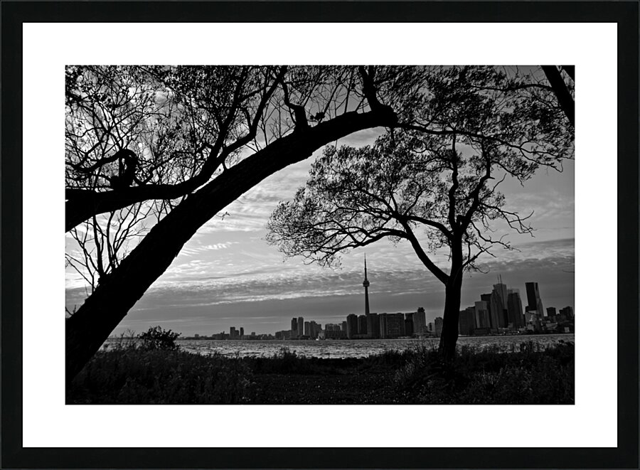 downtown toronto skyline from wards island  horiz Picture Frame print