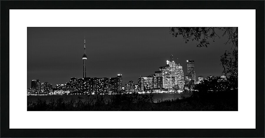 toronto skyline at night  panoramic 3024 Branches Picture Frame print