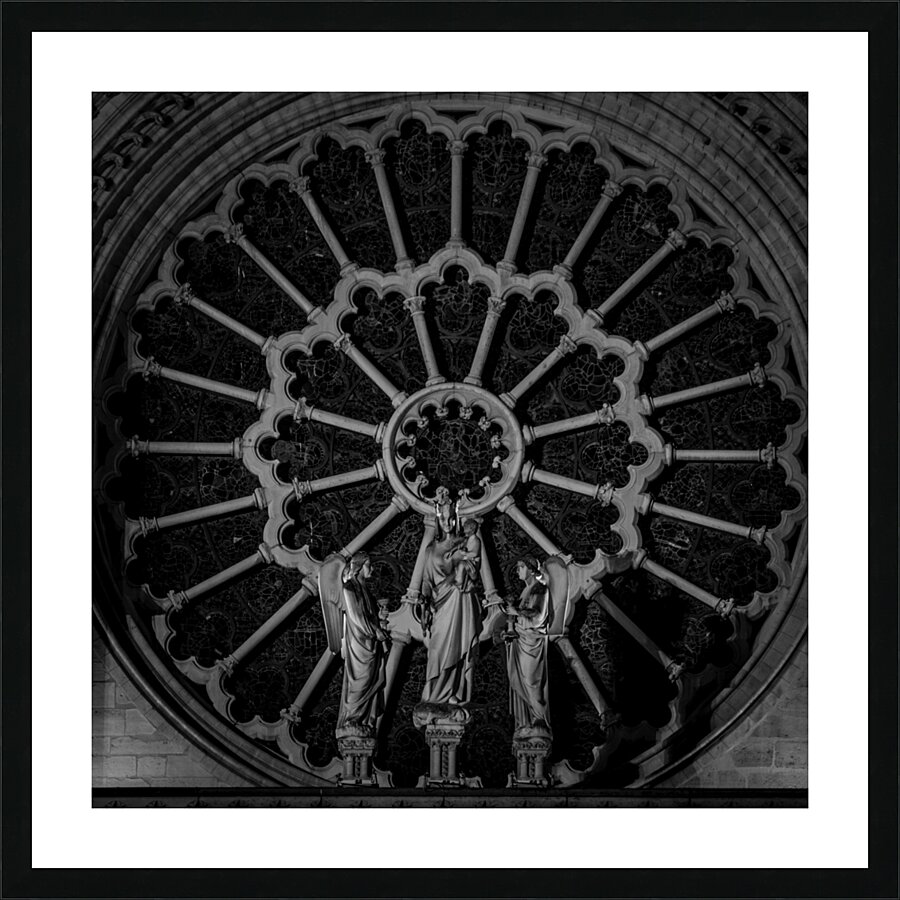 rose on notre dame de paris  square 2479 Rose 13k Picture Frame print