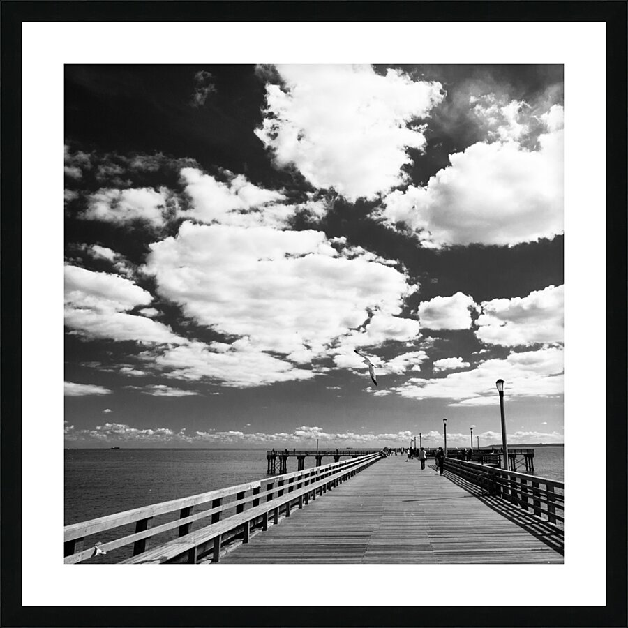 coney island pier  square 362 Gull 13k Picture Frame print