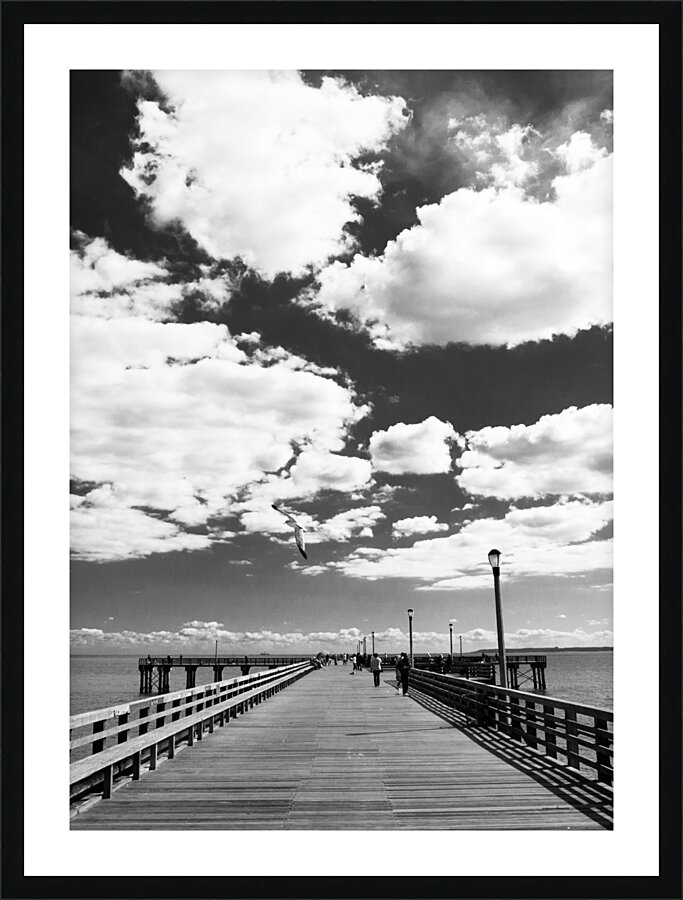 coney island pier  vertical 362 Gull 13k Picture Frame print