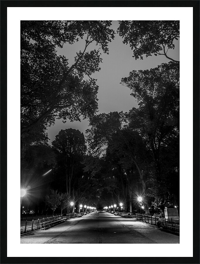 the mall central park  vertical 1466 Mall 13k Picture Frame print