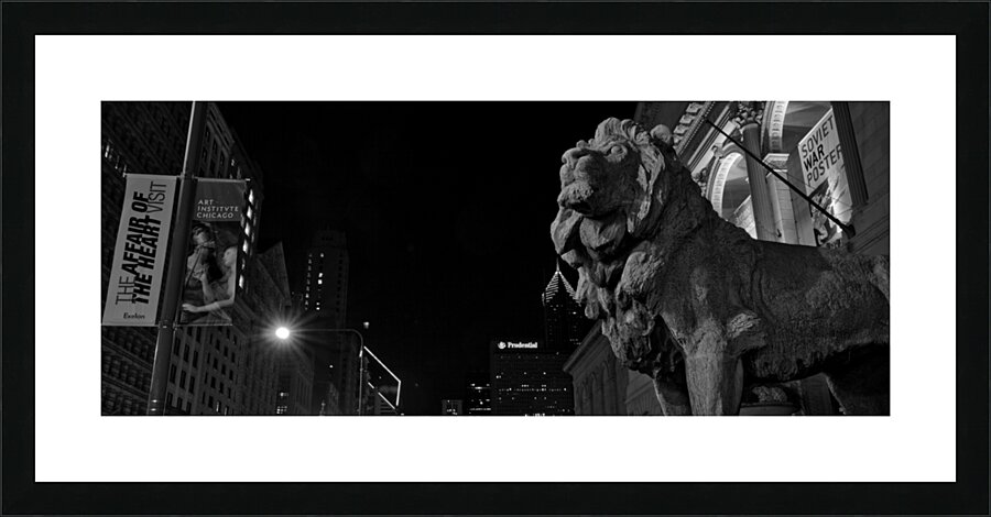 chicago art institue lion  panoramic 1195 Institu Picture Frame print
