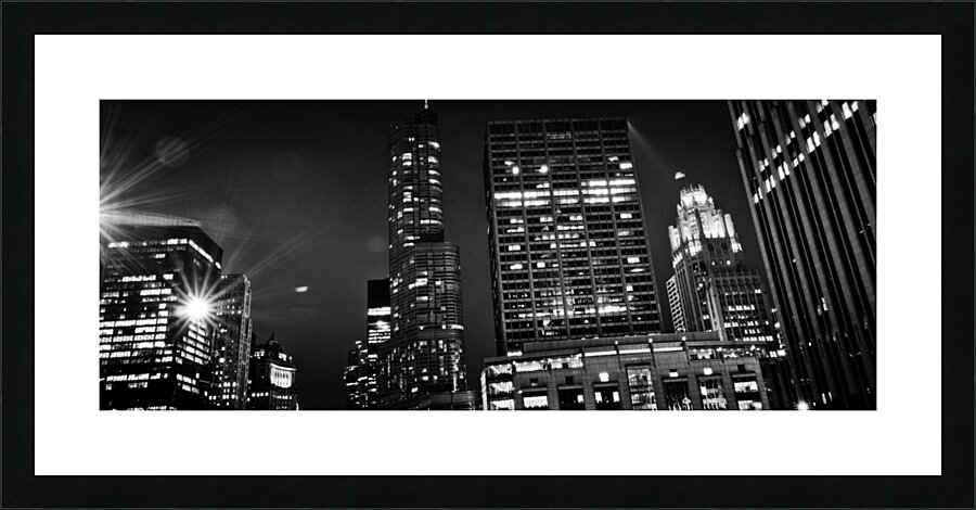 chicago city skyline from university of chicago   1708104174.3203 Picture Frame print