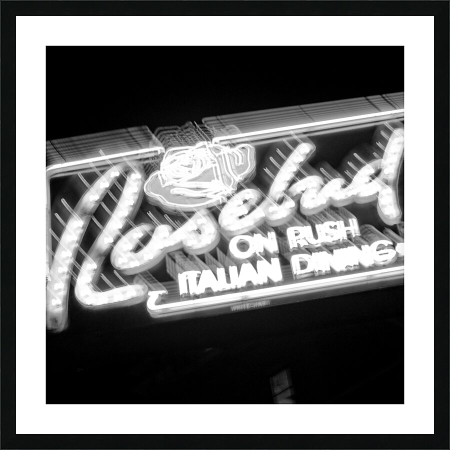 rosebud on rush  square 78 Rosebud 13k Picture Frame print