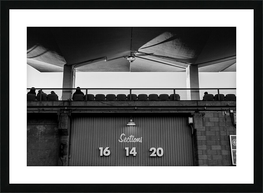 dodger stadium sections  horizontal 2194 Sections Picture Frame print