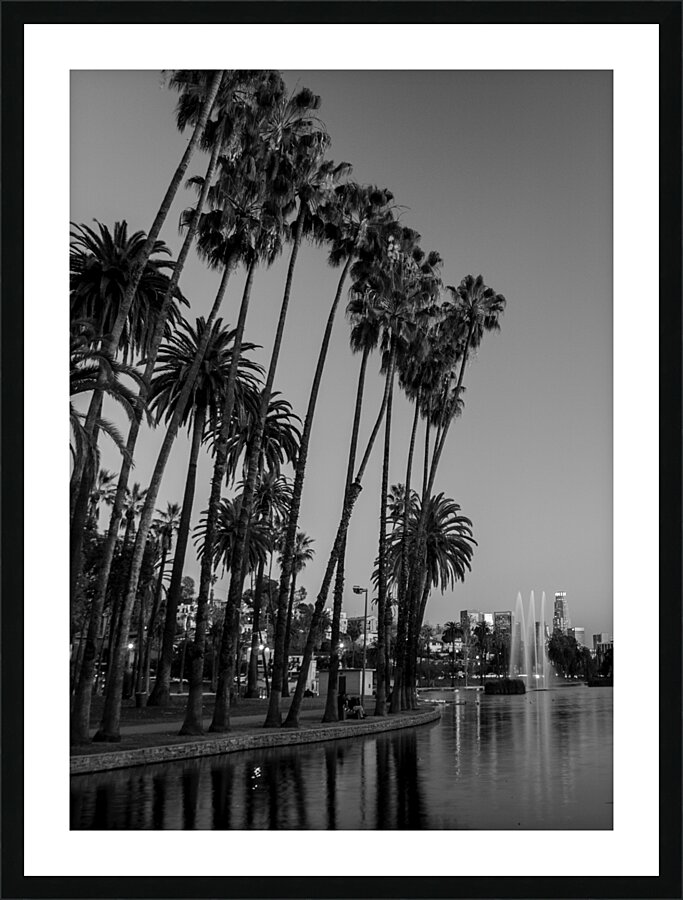 tall palm trees echo park  vertical 2182 Montrose Picture Frame print