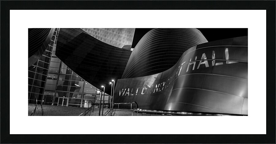 walt disney concert hall los angeles philharmonic 1708211109.5895 Picture Frame print
