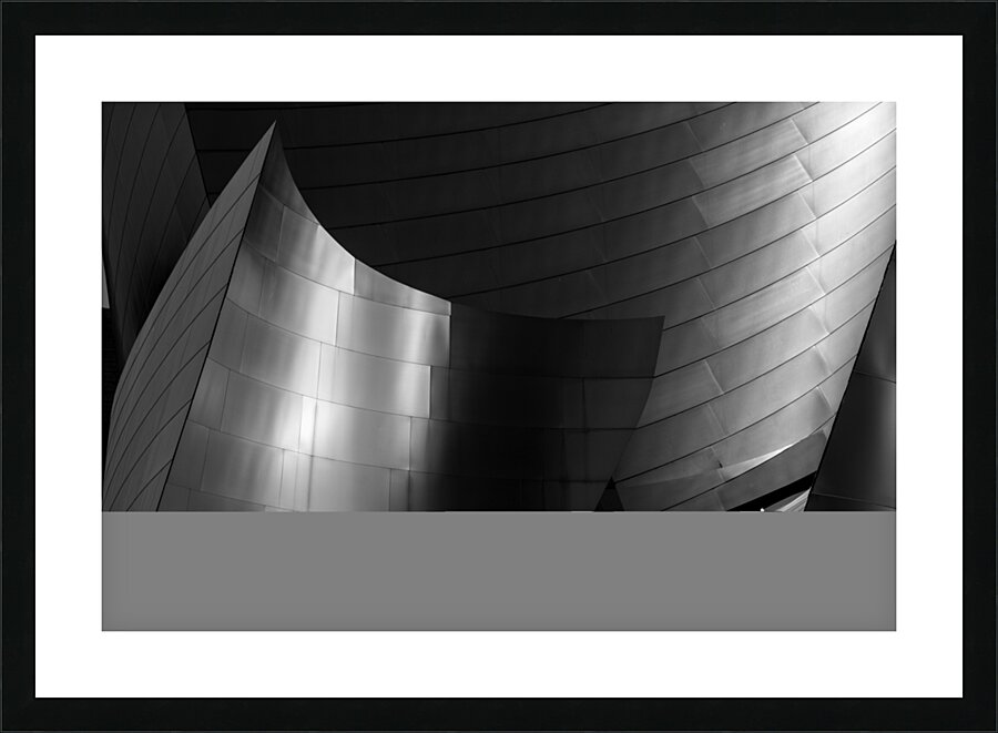 stainless steel walt disney concert hall  horizon Picture Frame print