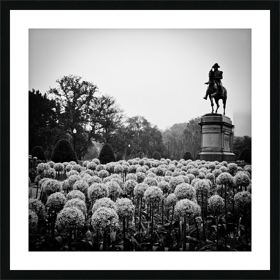 george washington statue public garden  square 13 Picture Frame print