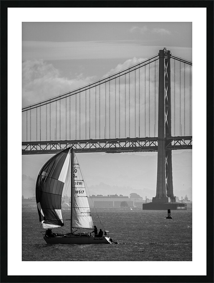 bay bridge and full sail boat  vertical 2766 Broa Picture Frame print