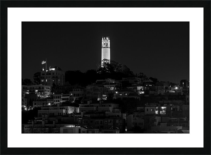 coit tower from russian hill  horizontal 494 Coit Picture Frame print