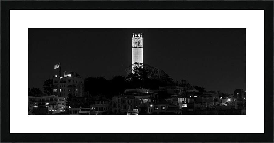 coit tower from russian hill  panoramic 494 Coit Picture Frame print