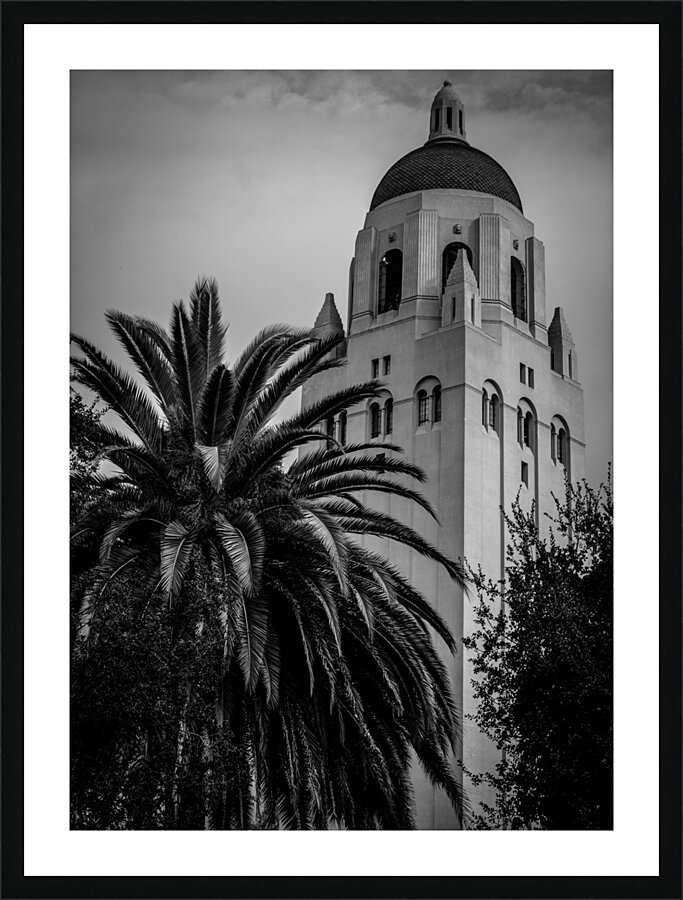 hoover tower stanford university campus  vertical Picture Frame print