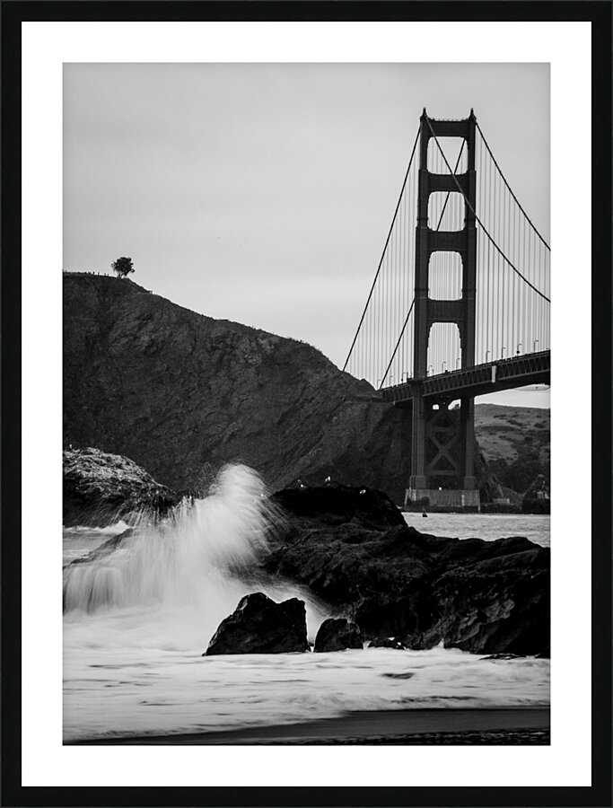 lone tree overlooks golden gate bridge  vertical Picture Frame print