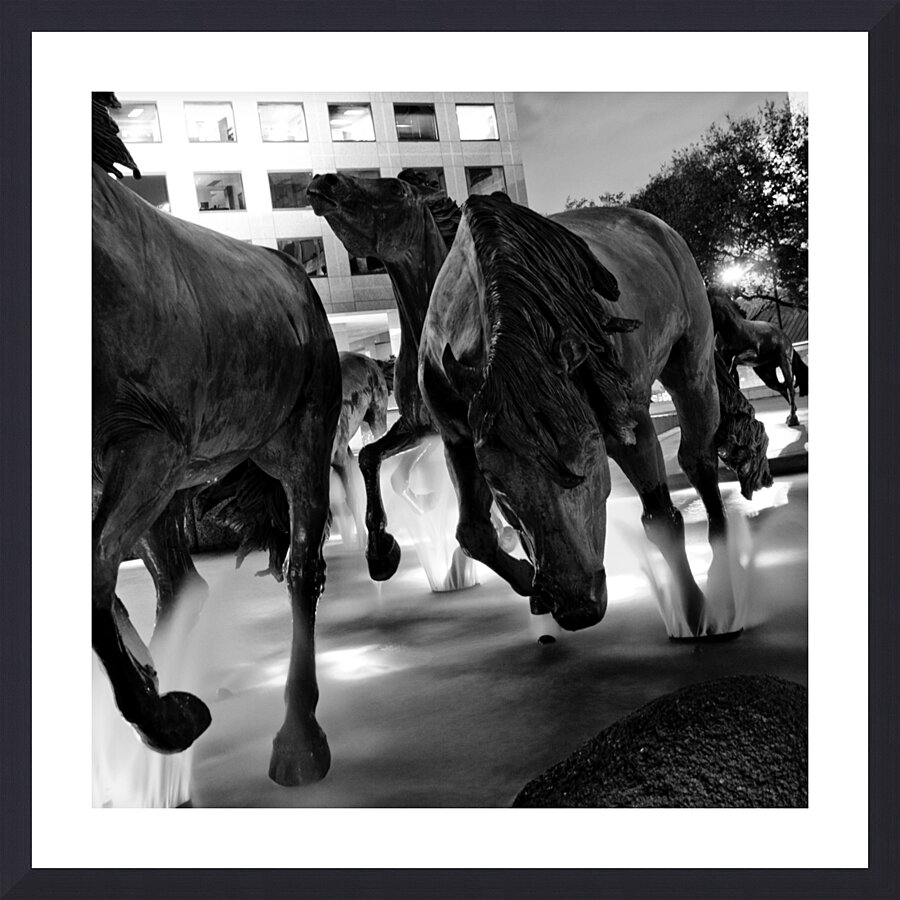 mustangs of las colinas at night  square 785 Must Picture Frame print