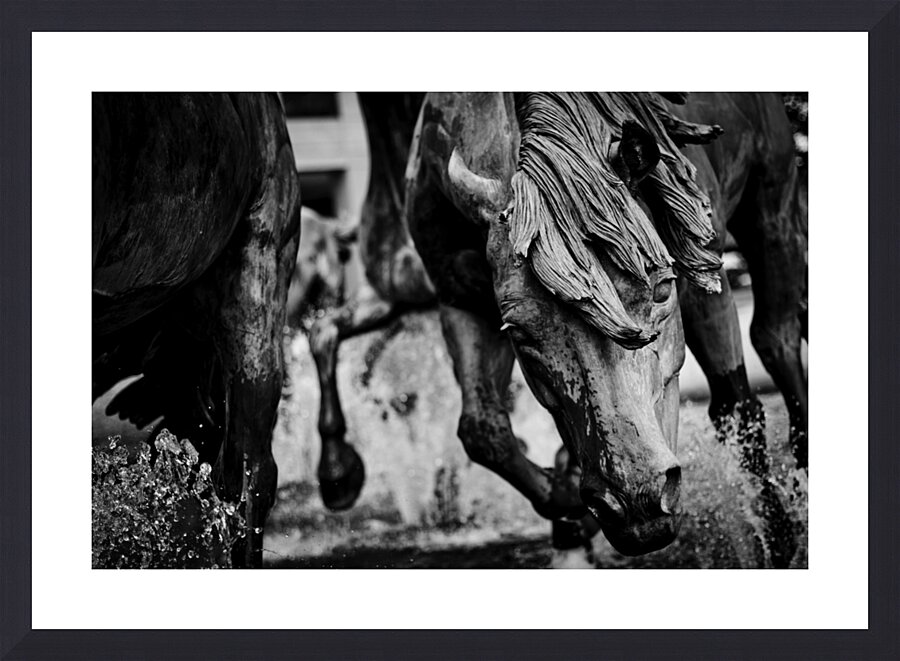 mustangs of las colinas  horizontal 2122 Stallion Picture Frame print