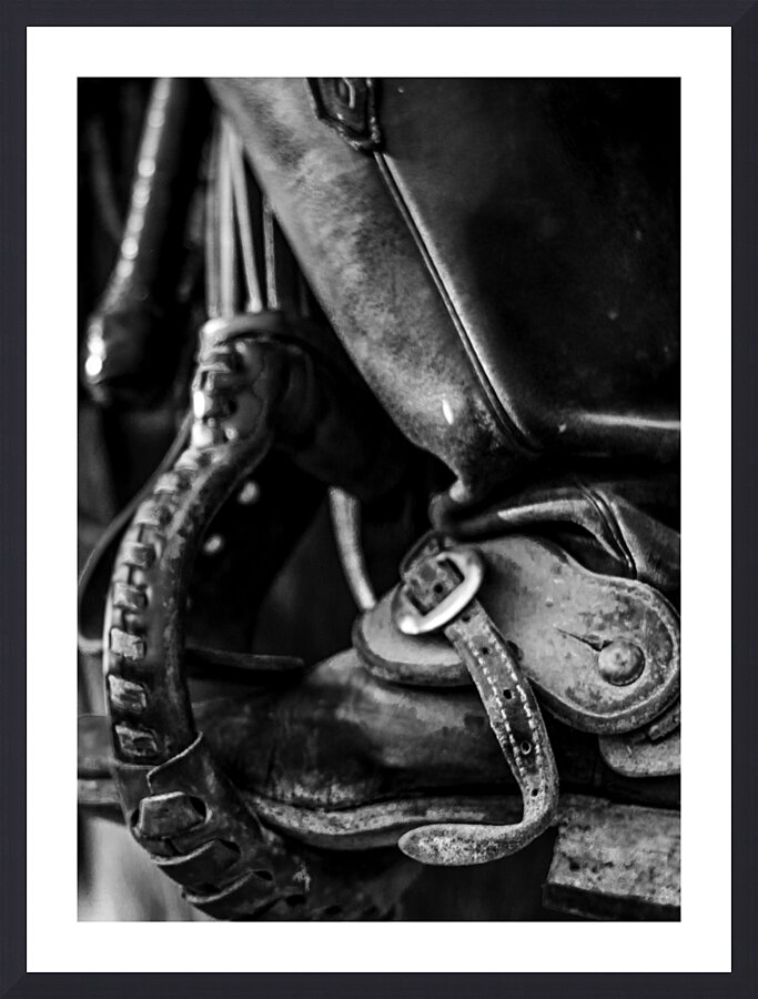 texas cowboy boot in stirrup  vertical 818 Stirru Picture Frame print