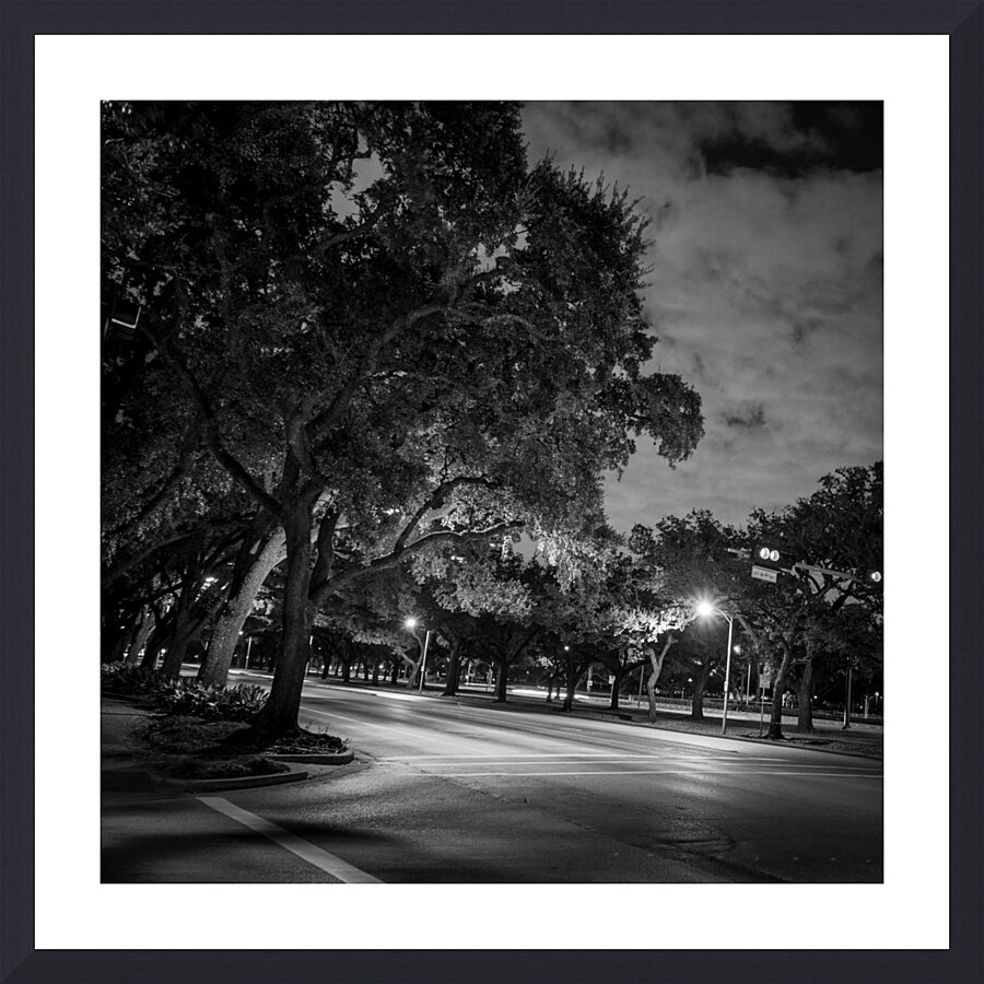 rice university main and fanin intersection  squa Picture Frame print