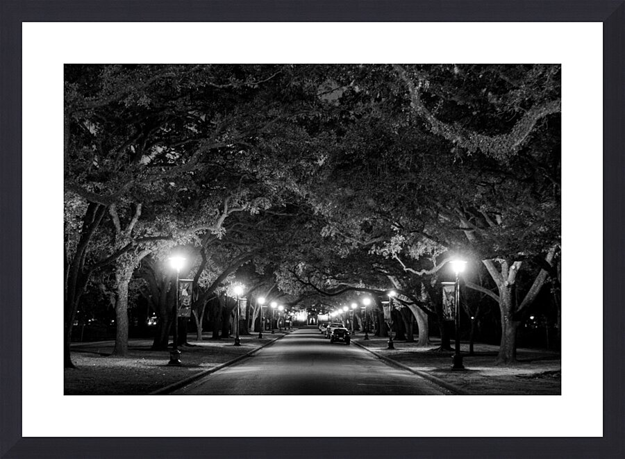 rice university at night  horizontal 938 Rice 13k Picture Frame print