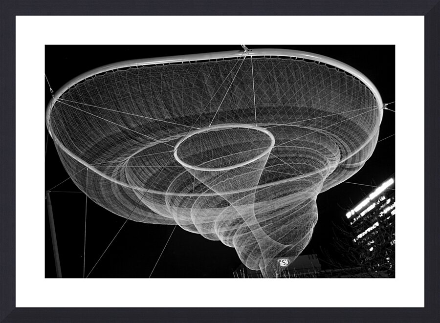 jellyfish civic space park  horizontal 1957 Civic Picture Frame print