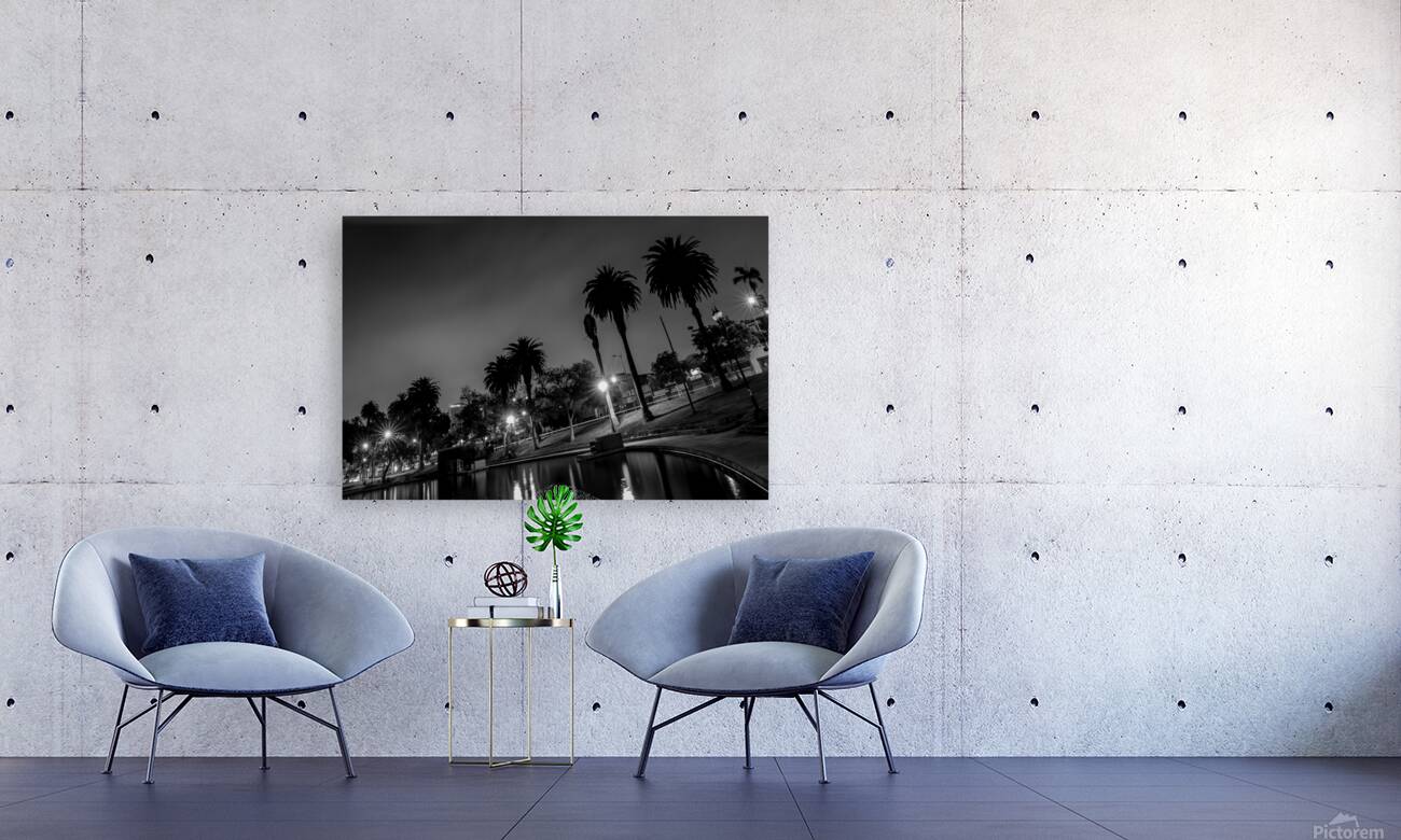 macarthur park at night  horizontal 2199 Urine 13 Reproduction