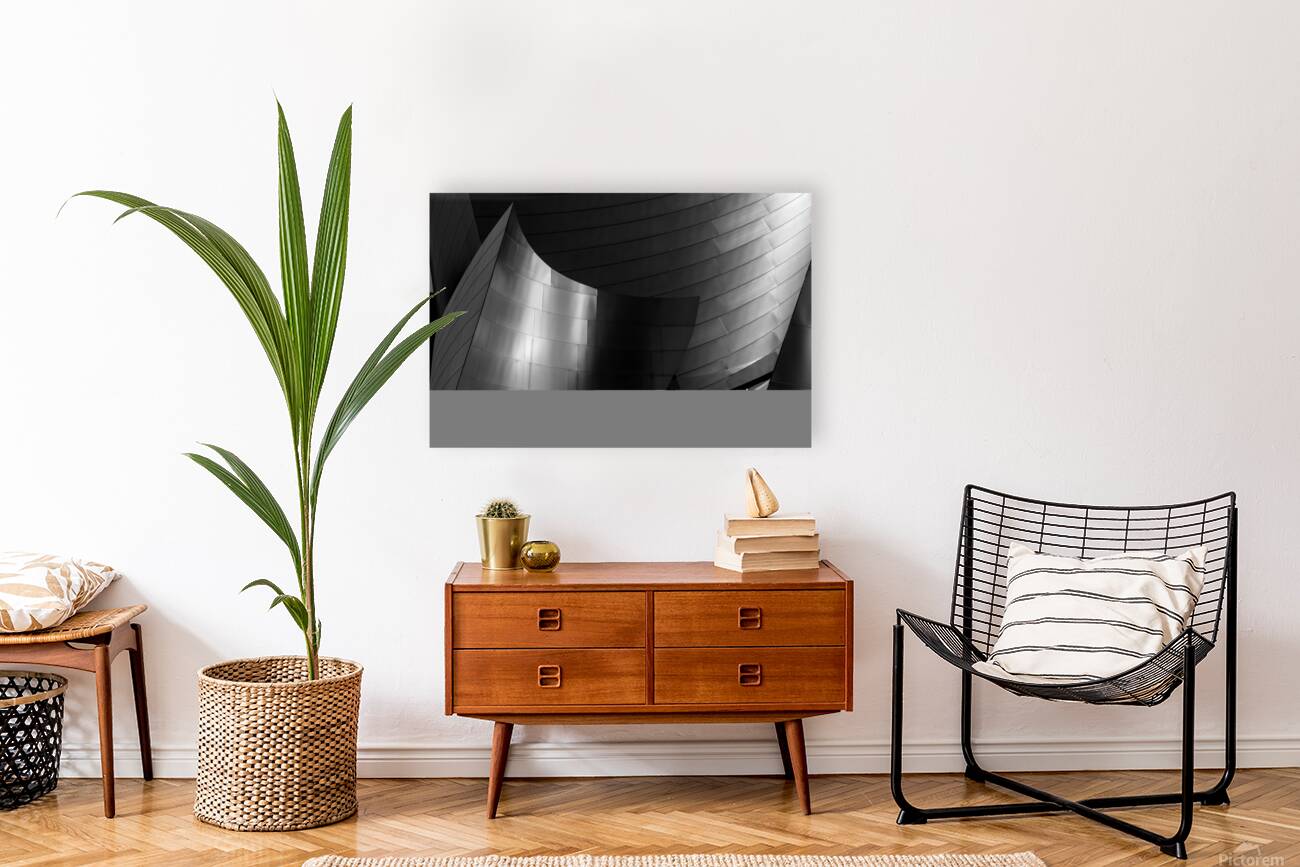 stainless steel walt disney concert hall  horizon Reproduction