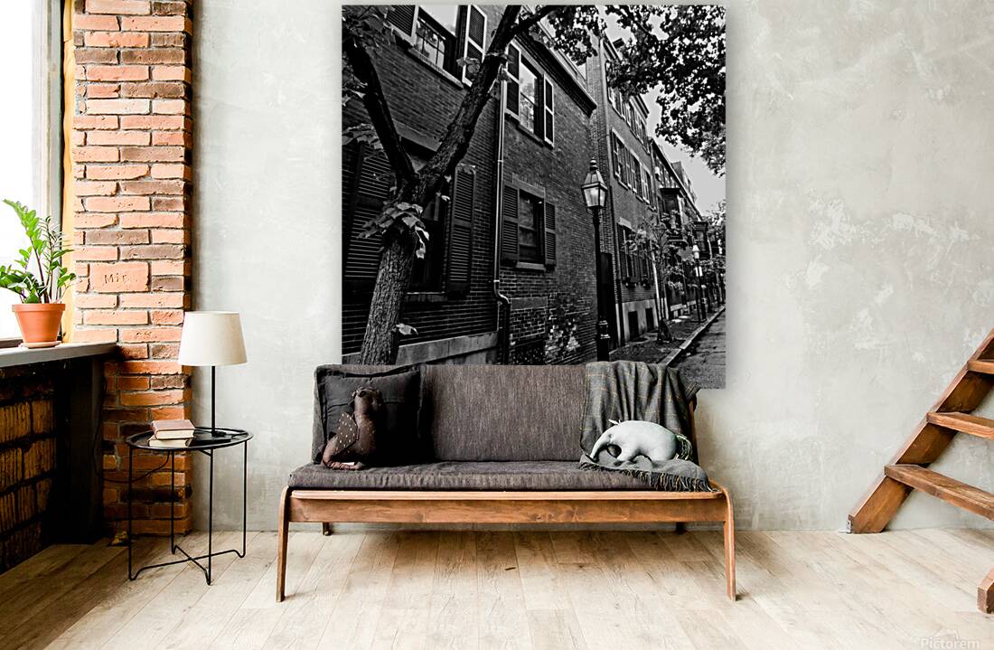 cedar street beacon hill  square 1372 Cedar 13k.j Reproduction