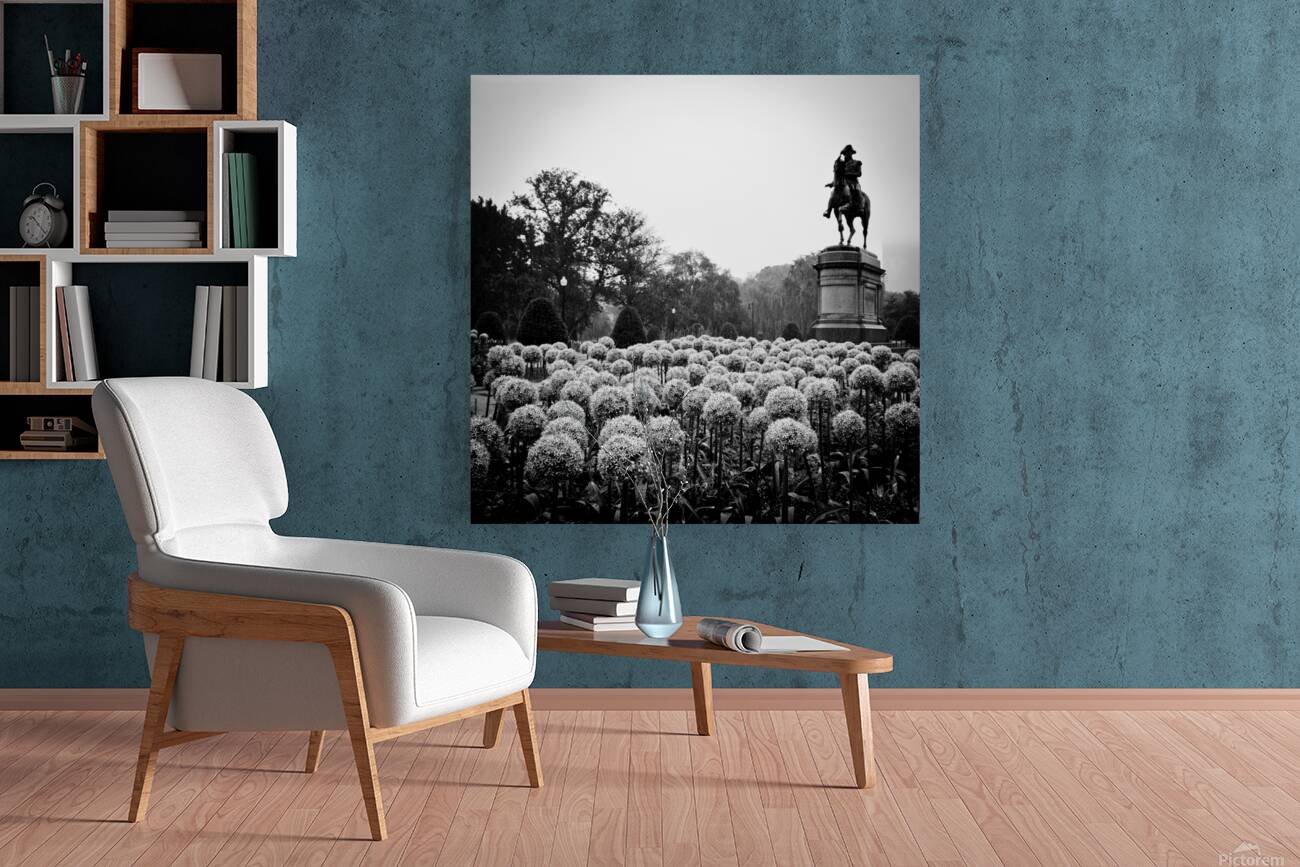 george washington statue public garden  square 13 Reproduction