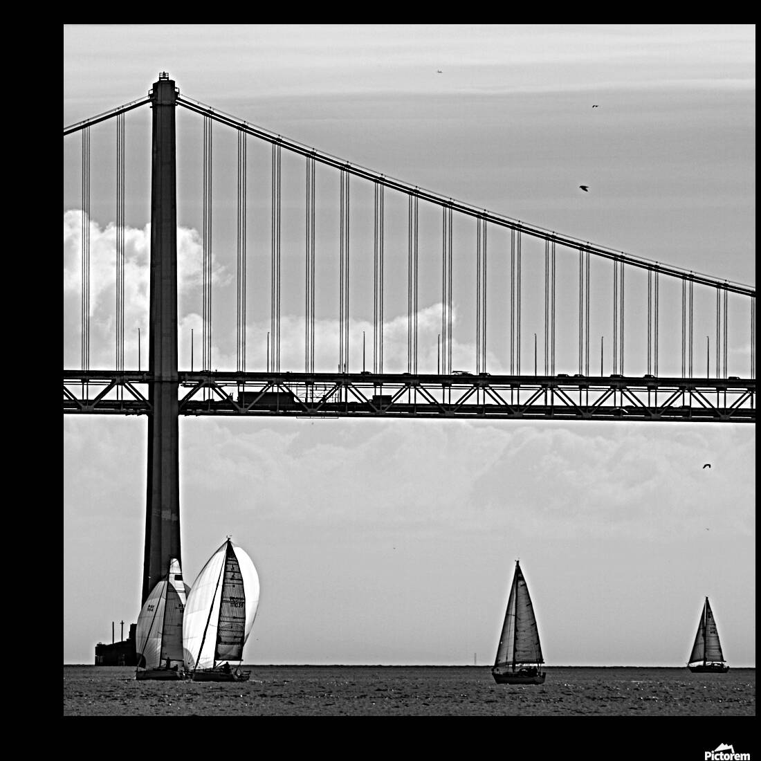 sail boats under sf bay bridge  square 2947 Doubl Reproduction