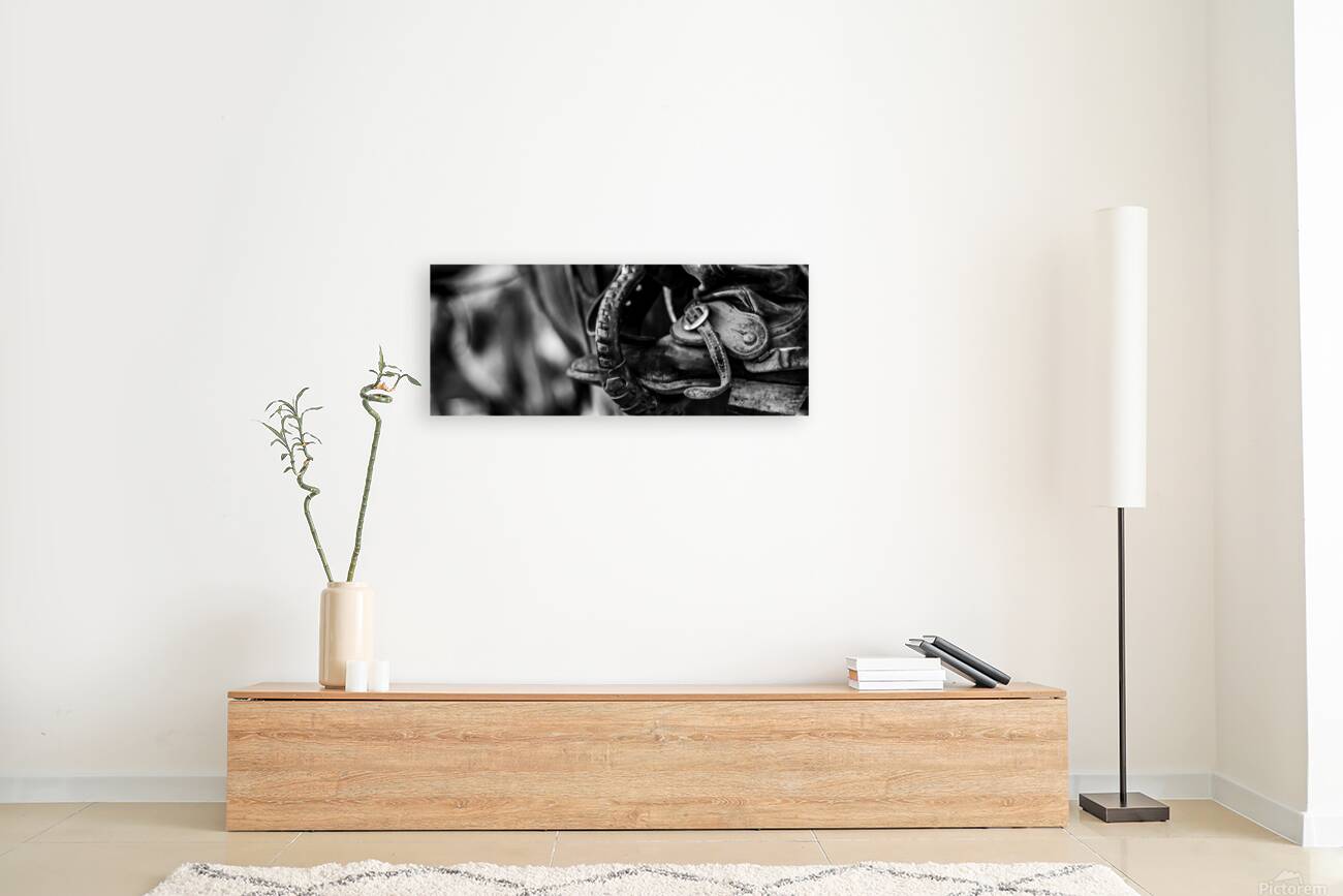 texas cowboy boot in stirrup  panoramic 818 Stirr Reproduction