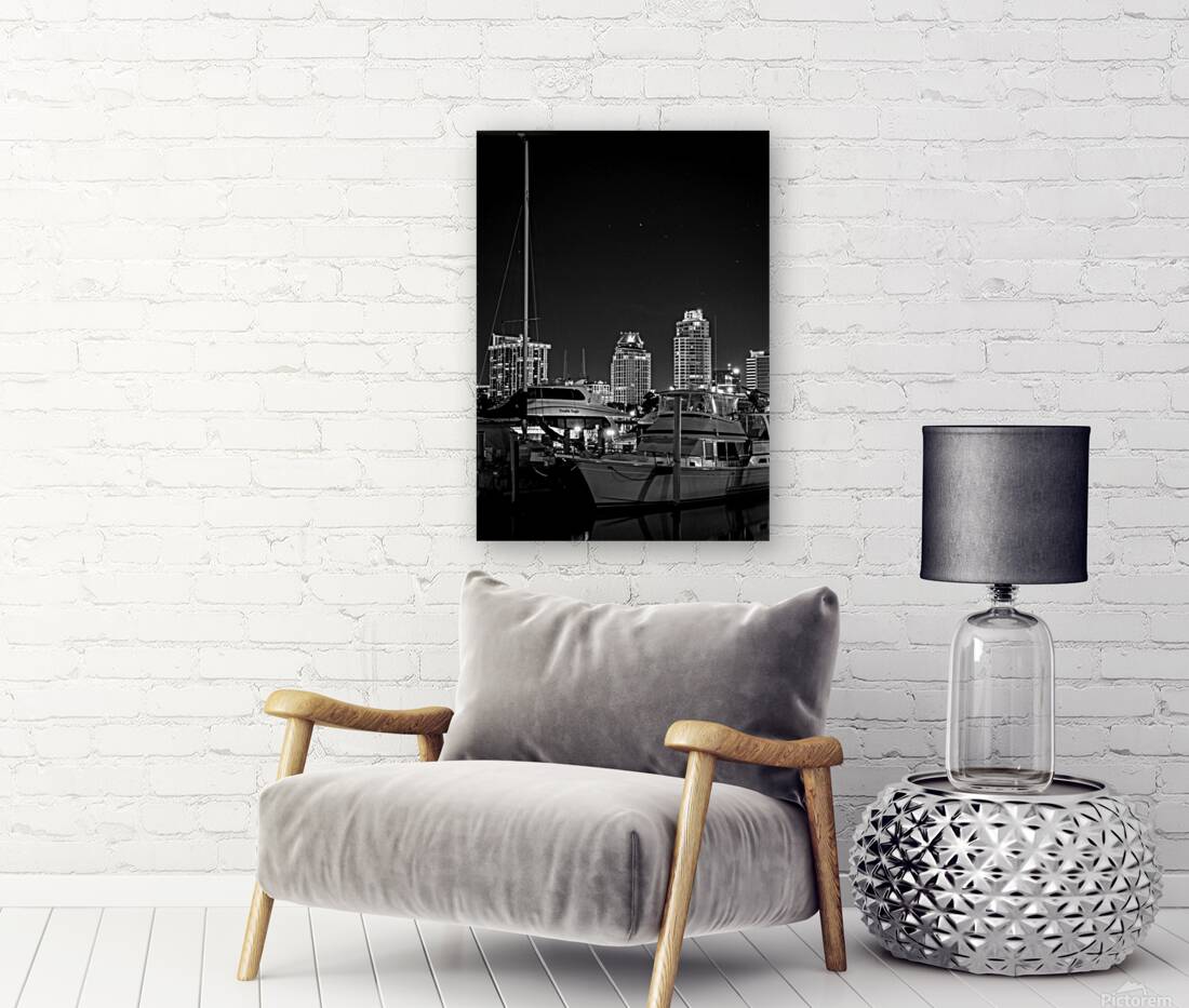 st petersburg skyline and marina  vertical 1138 E Reproduction