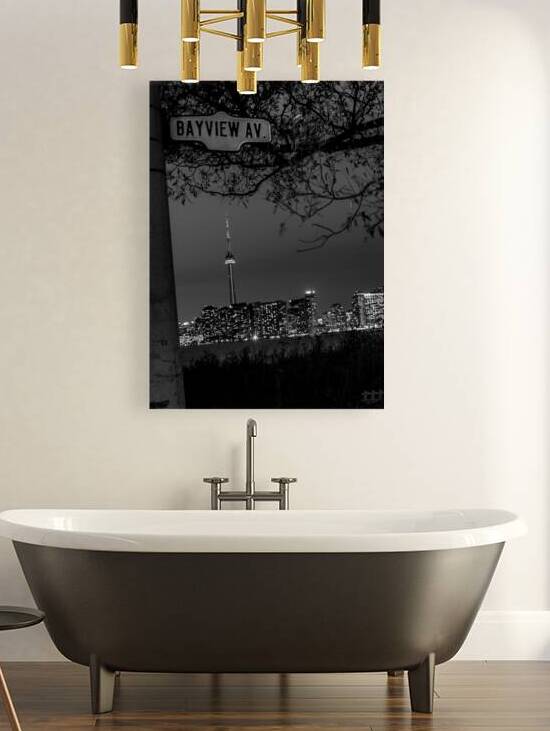 toronto skyline bayview wards island  vertical 41 by Black And White