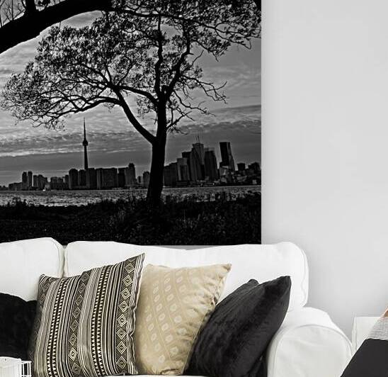 downtown toronto skyline from wards island  squar by Black And White
