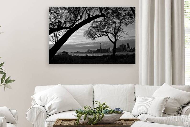 downtown toronto skyline from wards island  horiz by Black And White