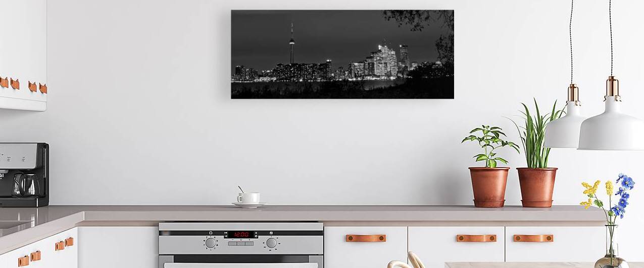 toronto skyline at night  panoramic 3024 Branches by Black And White