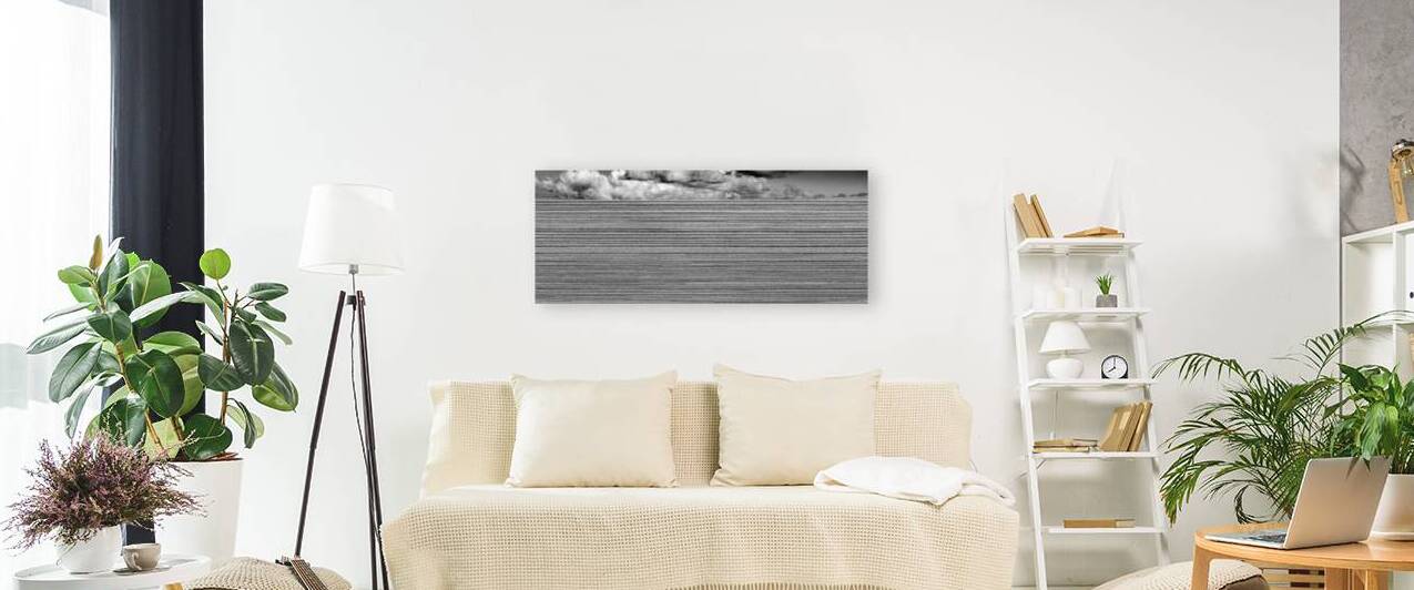 cape town skyline and table mountain  panoramic 2 by Black And White