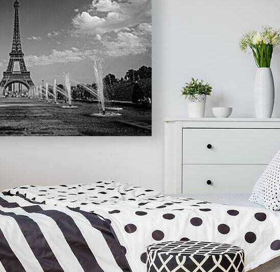 eiffel tower from fountains in trocadero gardens  1707930567.7478 by Black And White