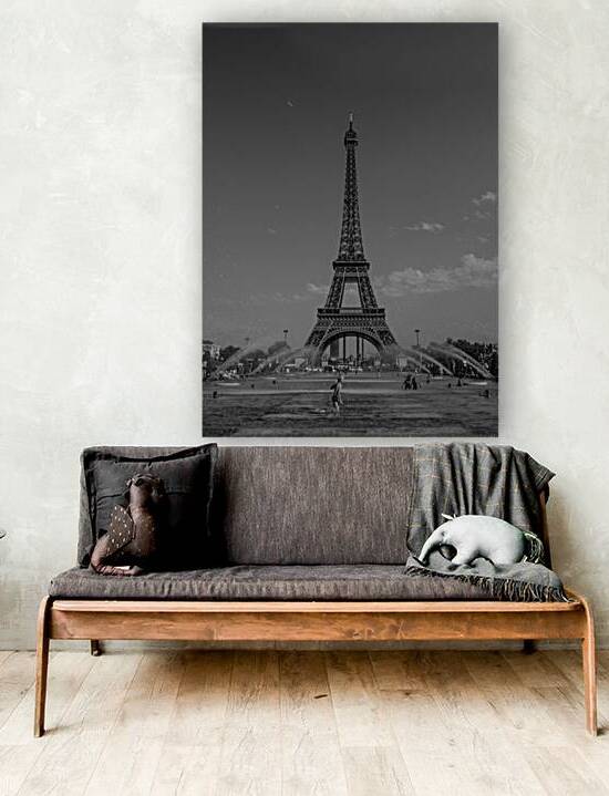 eiffel tower from fountains in trocadero gardens  1707930370.3759 by Black And White