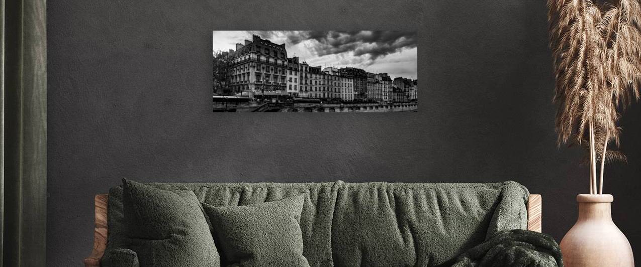 paris apartments along the river seine  panoramic by Black And White