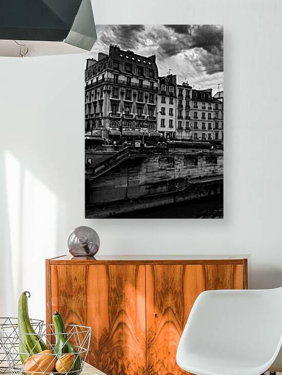 paris apartments along the river seine  vertical by Black And White