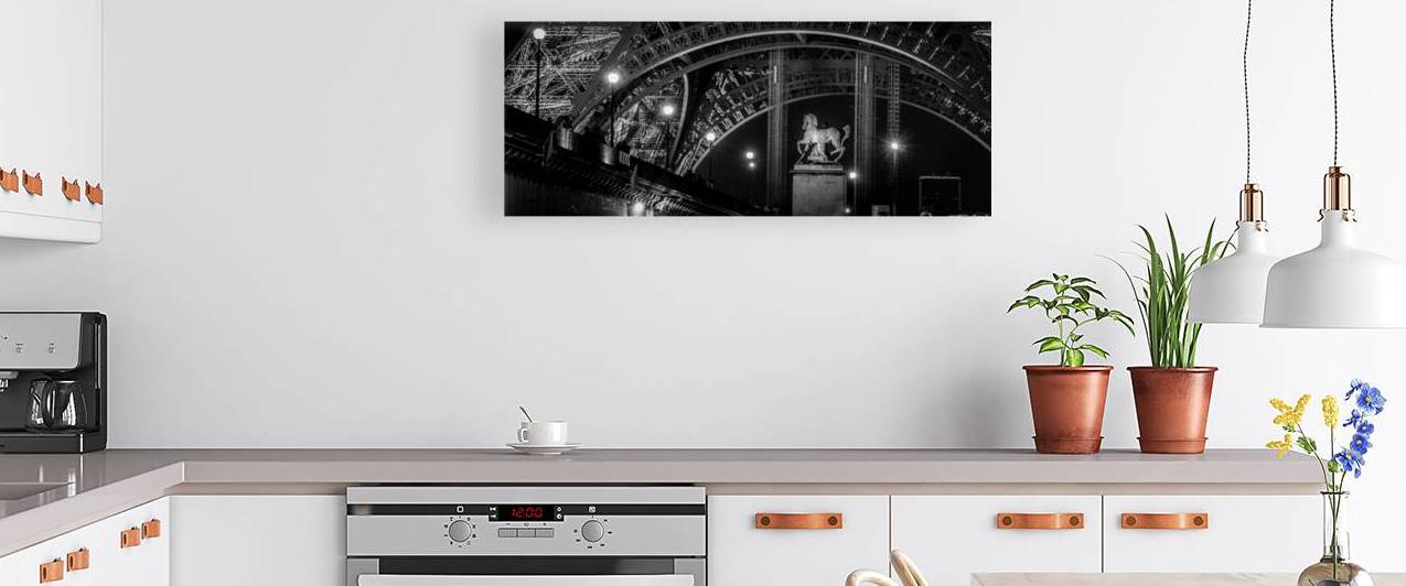 pont d iena bridge base of eiffel tower  panorami by Black And White