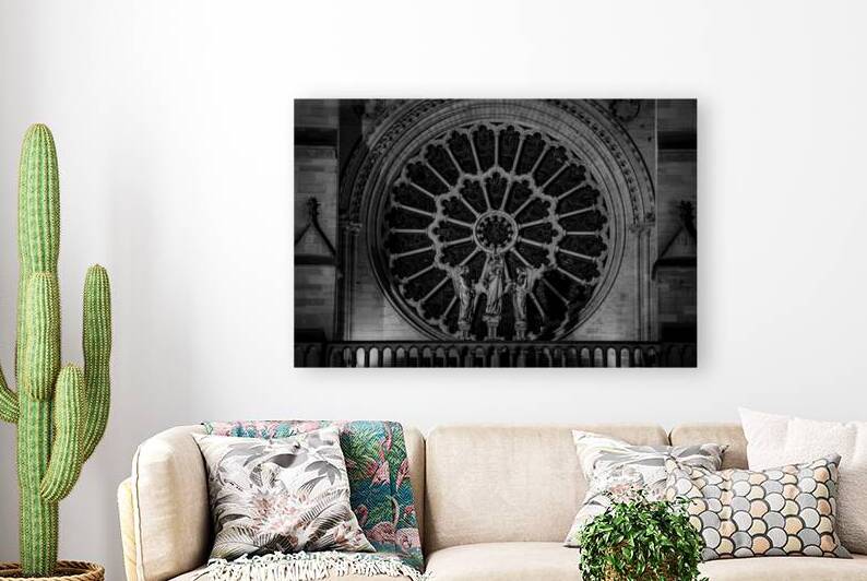 rose on notre dame de paris  horizontal 2479 Rose by Black And White