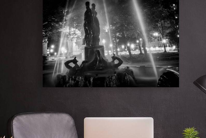 bailey fountain prospect park brooklyn  horizonta by Black And White