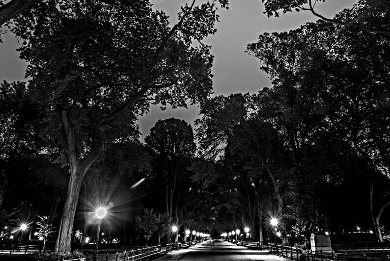 the mall central park  horizontal 1466 Mall 13k.j by Black And White