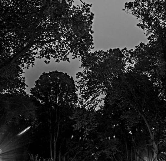 the mall central park  square 1466 Mall 13k by Black And White