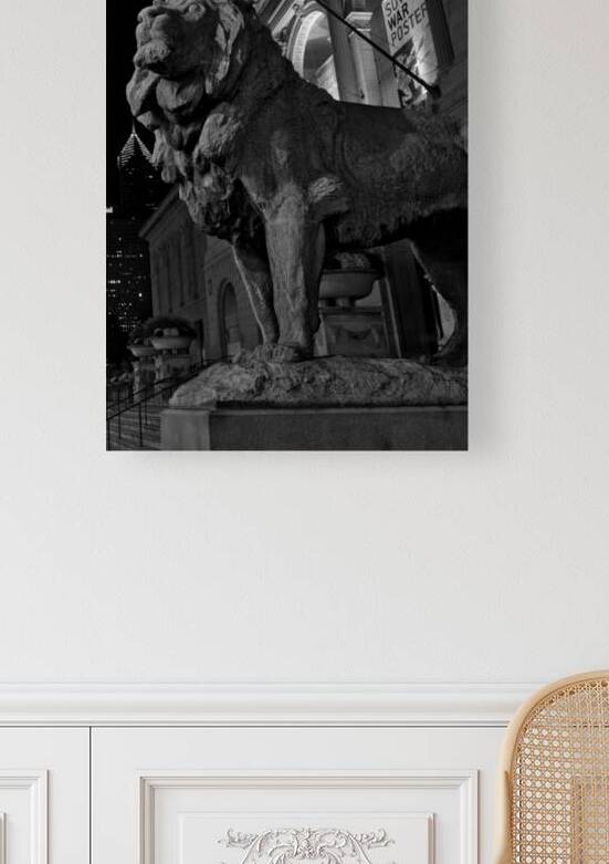 chicago art institue lion  vertical 1195 Institut by Black And White