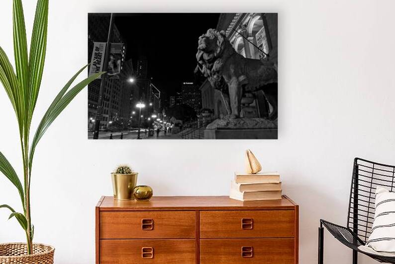 chicago art institue lion  horizontal 1195 Instit by Black And White