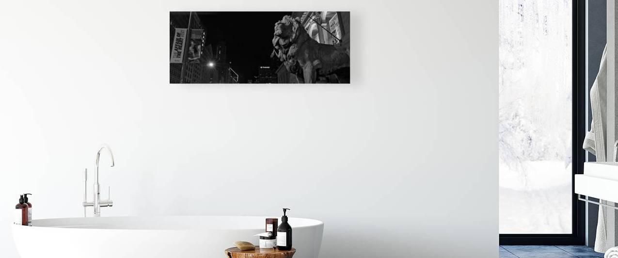 chicago art institue lion  panoramic 1195 Institu by Black And White