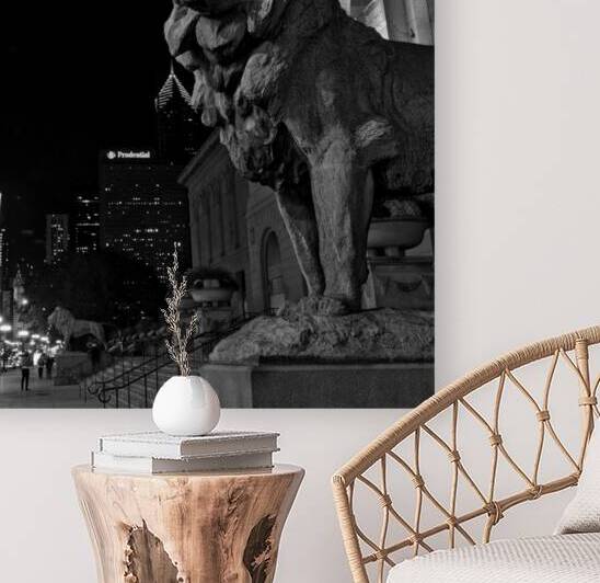 chicago art institue lion  square 1195 Institute by Black And White